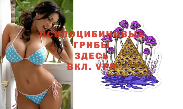 МДПВ Арсеньев