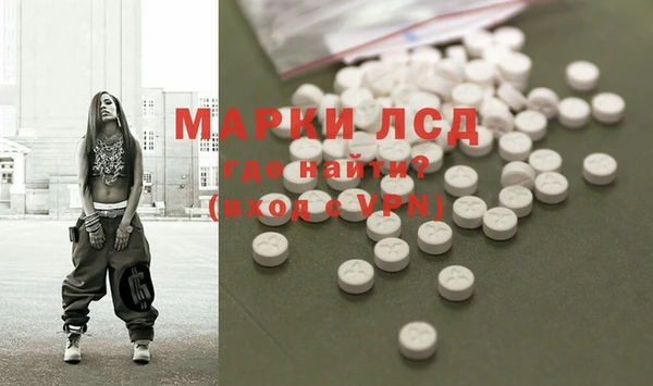 хмурый Каменка