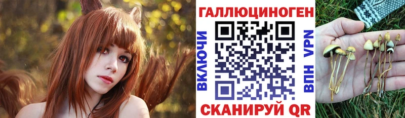 Галлюциногенные грибы Magic Shrooms  Маркс 