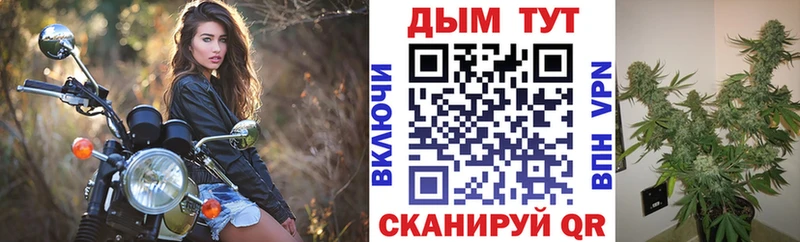 Канабис OG Kush  OMG ССЫЛКА  Маркс 